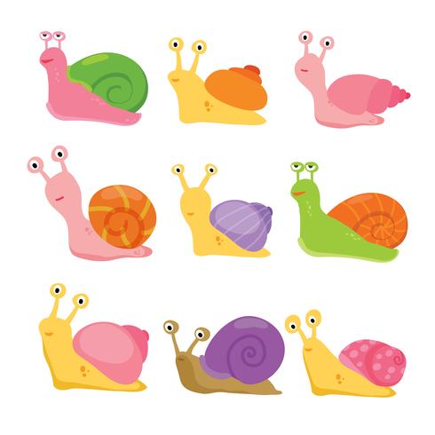 snail vector collection design