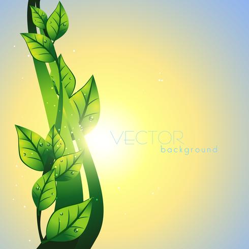 hoja verde vector