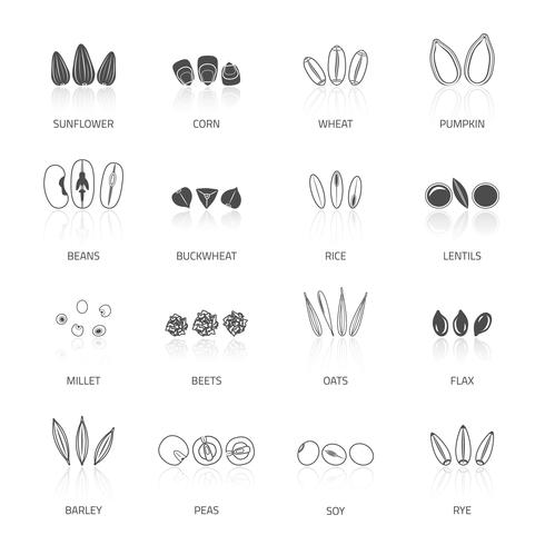 Seed Icon Set vector