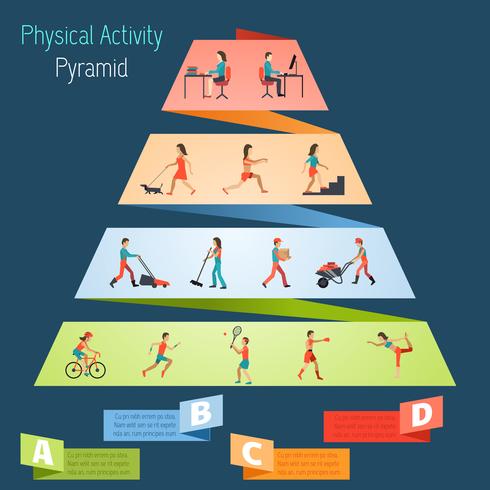 Infografía de pirámide de actividad física vector