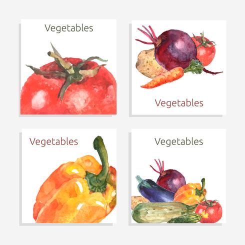 Conjunto de tarjetas de vegetales vector