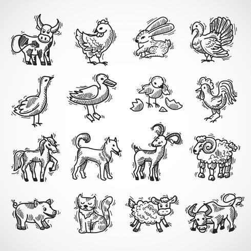 Farm Animals Sketch vector