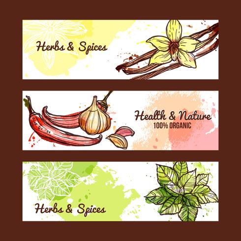 Banners de hierbas y especias vector