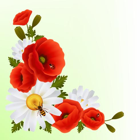 Poppy daisy background vector