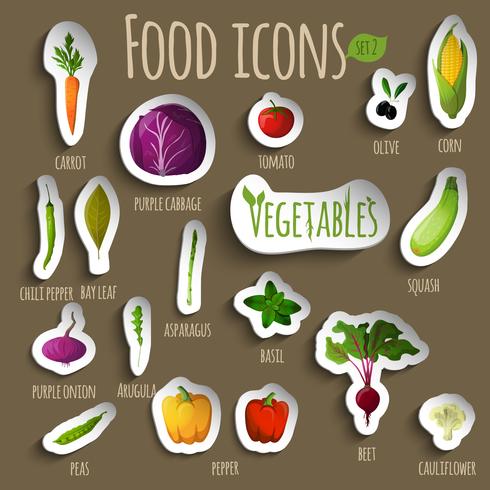 Set de verduras de comida vector