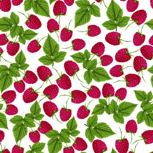 Raspberry seamless pattern vector