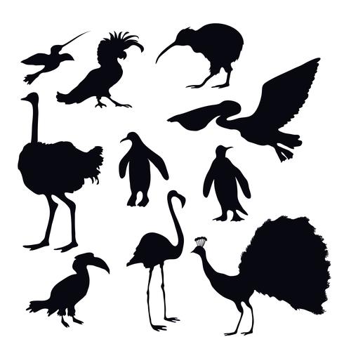 Exotic Birds Silhouettes vector