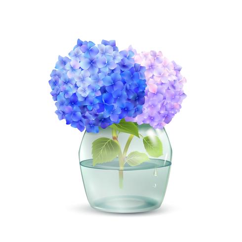 Hortensia en tarro vector