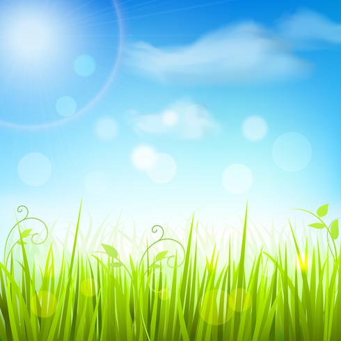 Spring meadow grass blue sky poster vector