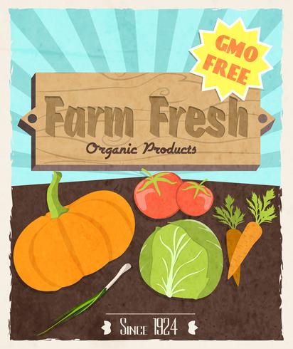 Vegetable retro poster vector