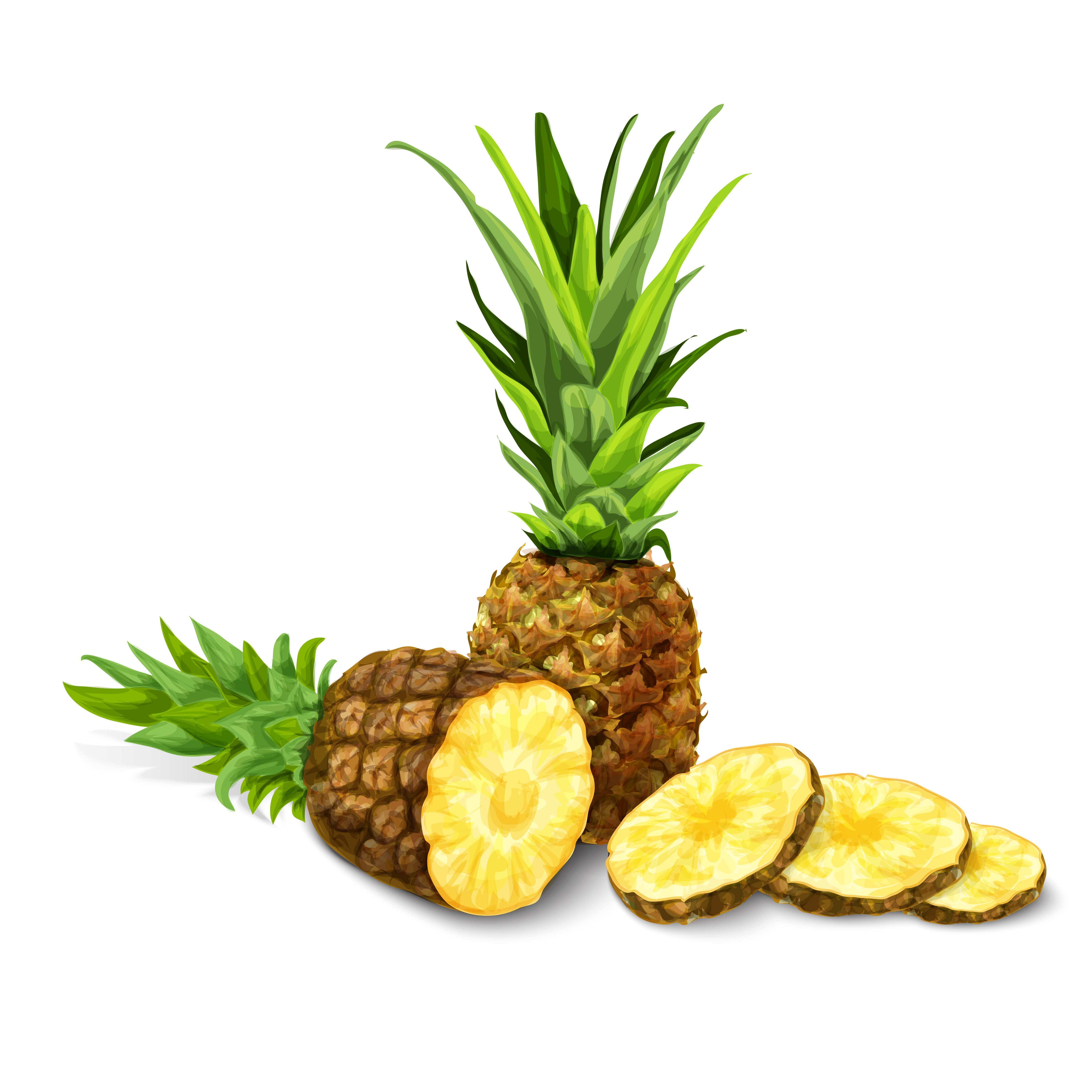 Pineapple isolated poster or emblem 459747 Vector Art at Vecteezy