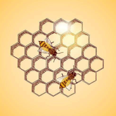 Fondo de abejas y panal de miel vector