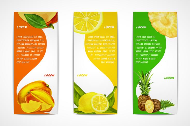 Conjunto de banner vertical de frutas tropicales vector