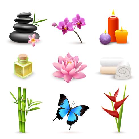 Realistic spa icons vector