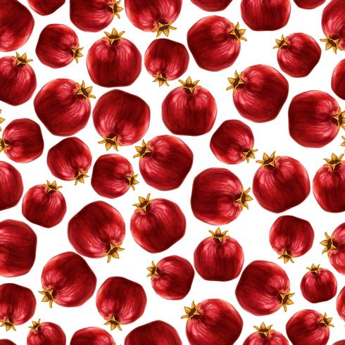 Pomegranate seamless pattern vector