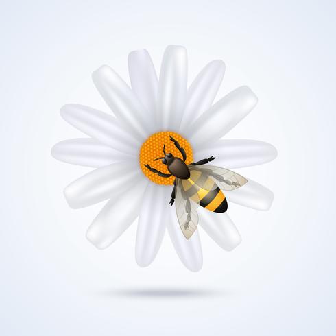 Abeja con flor vector