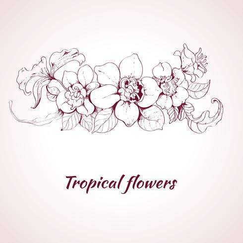 Tropical flower sketch vector