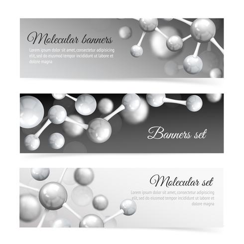 Black and white molecule banners set vector