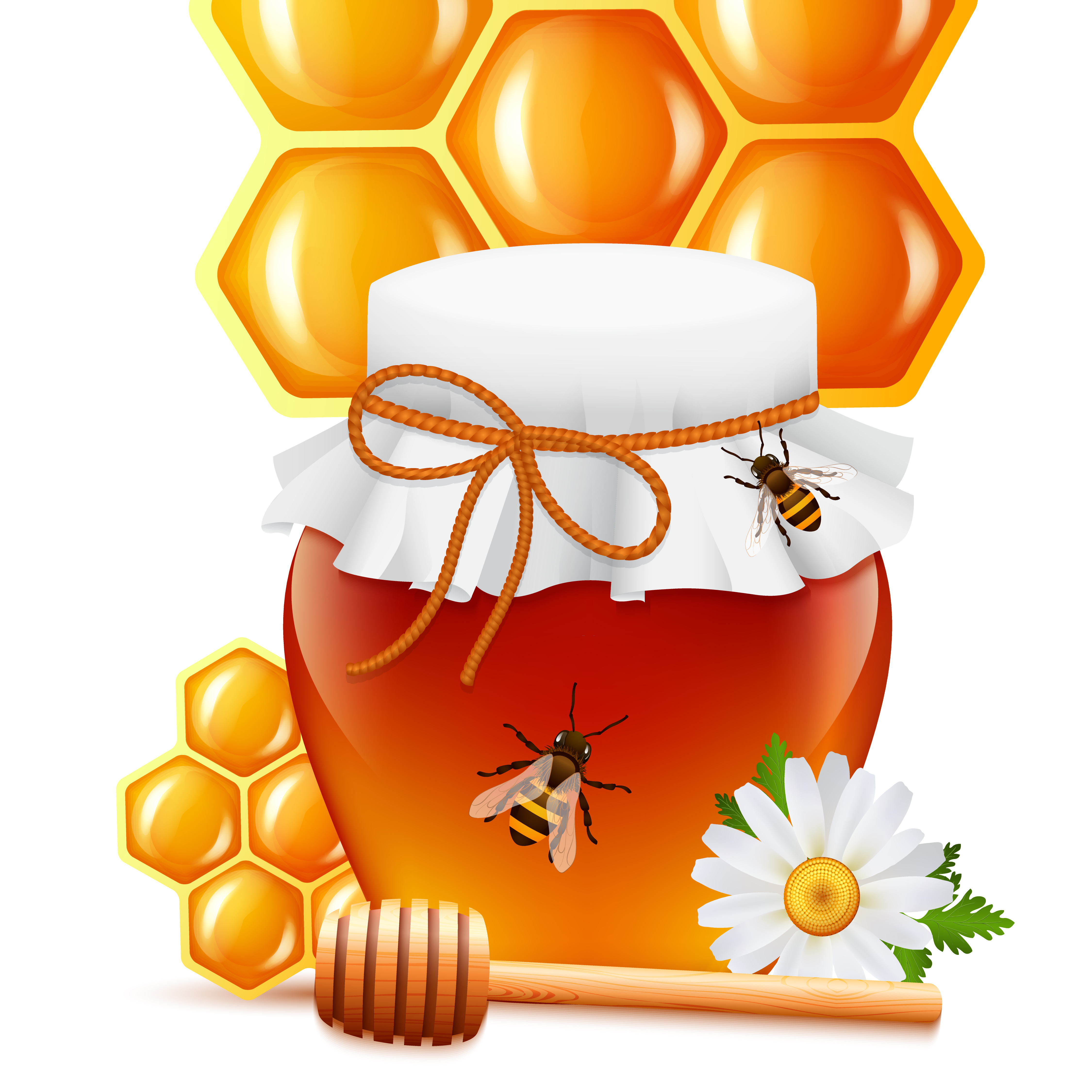 Honey jar with dipper and comb print 460199 Vector Art at Vecteezy