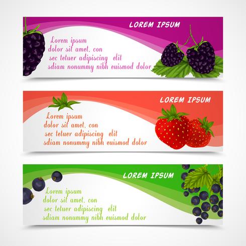 Berries banners set vector