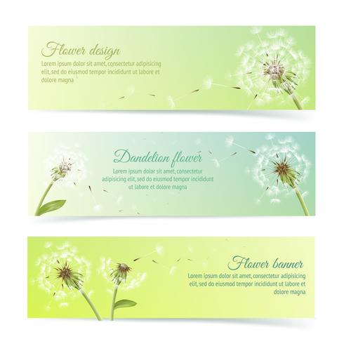 Collection of banners and ribbons with dandelion vector