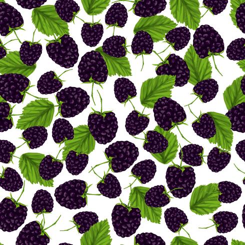 Blackberry seamless pattern vector