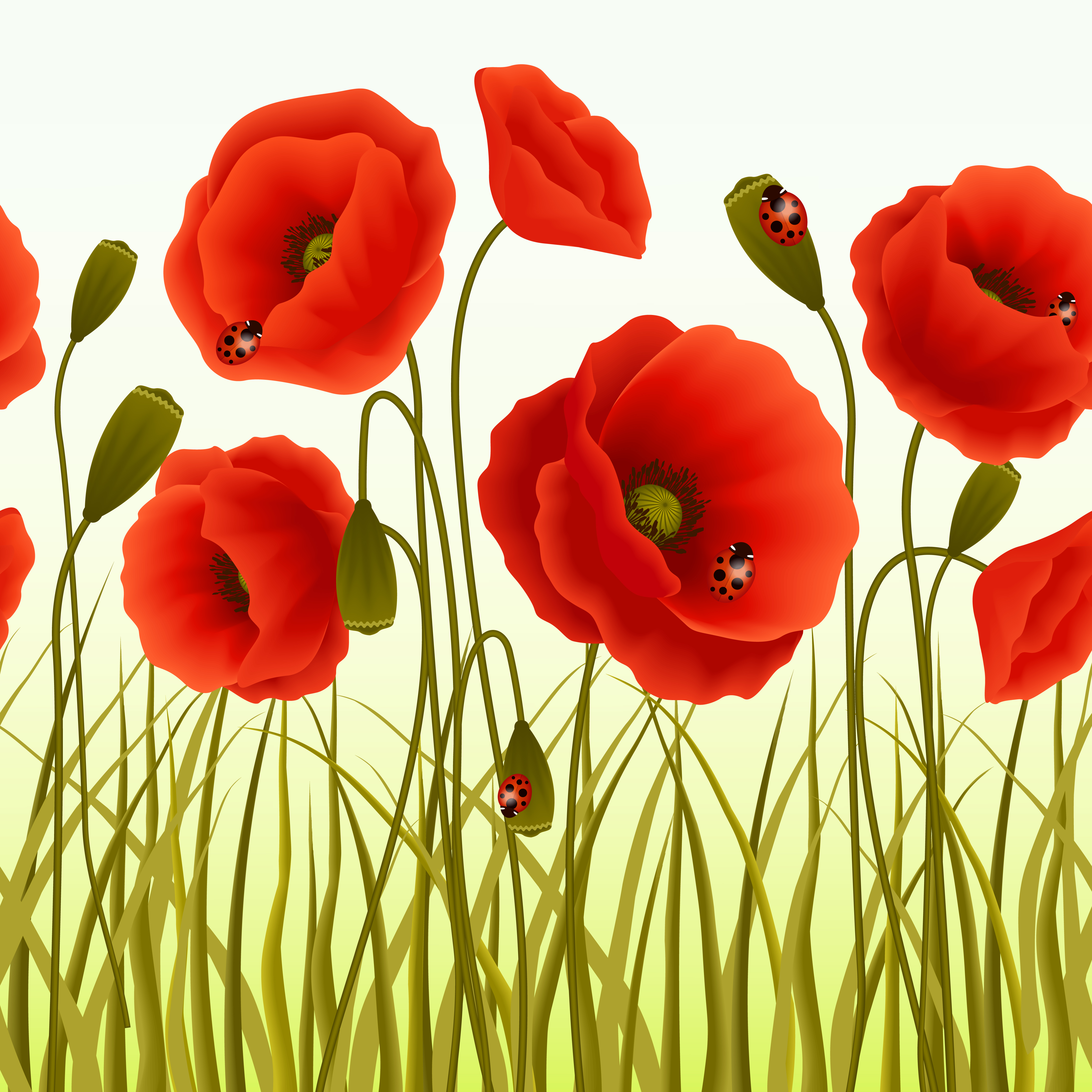 Poppy grass seamless wallpaper 460363 Vector Art at Vecteezy