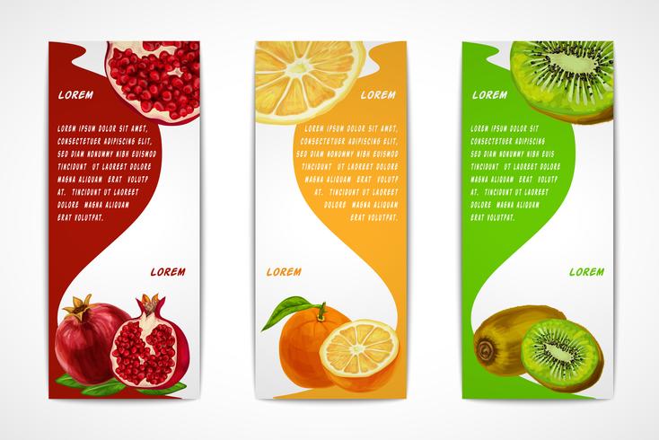 Tropical fruits vertical banner set vector