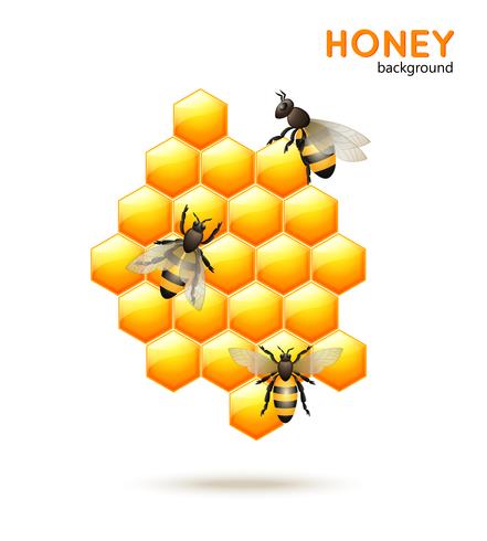 Honey bee background vector