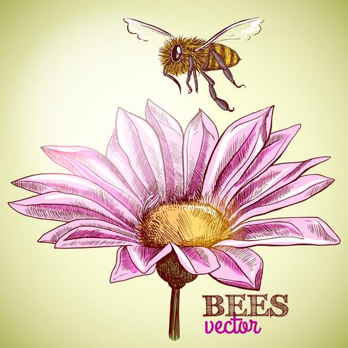 Flying honey bee and blossoming flower background vector