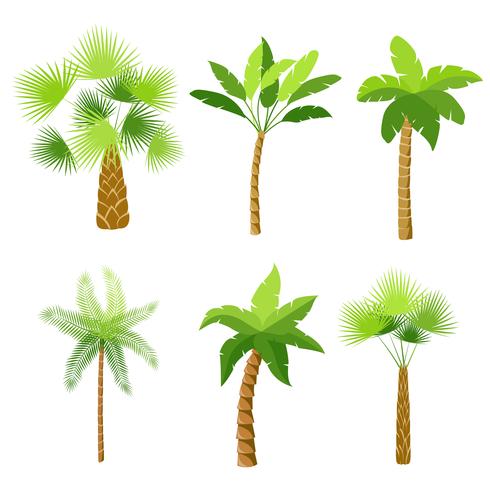 Decorative palm trees icons set vector