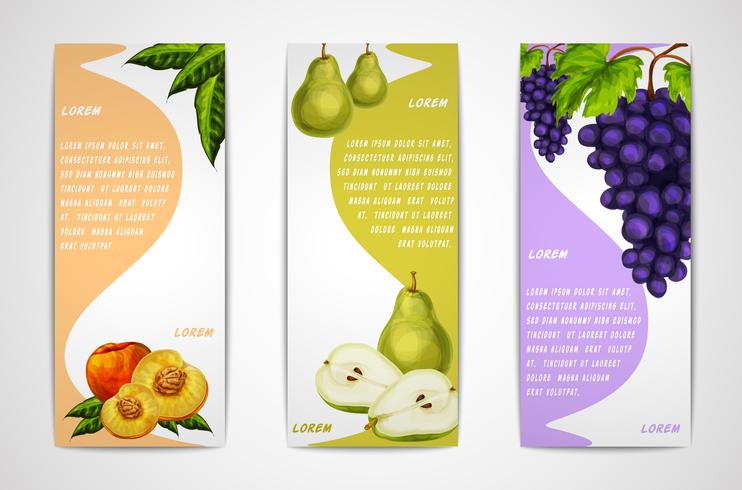 Mixed organic fruits banners collection vector