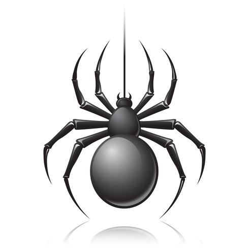 Emblema de la araña negra vector