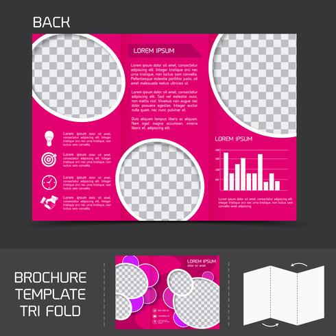 Brochure template tri fold vector