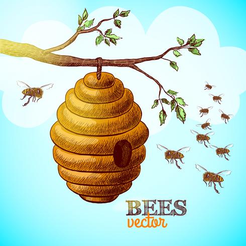 Las abejas de miel y la colmena sobre fondo de rama de árbol vector