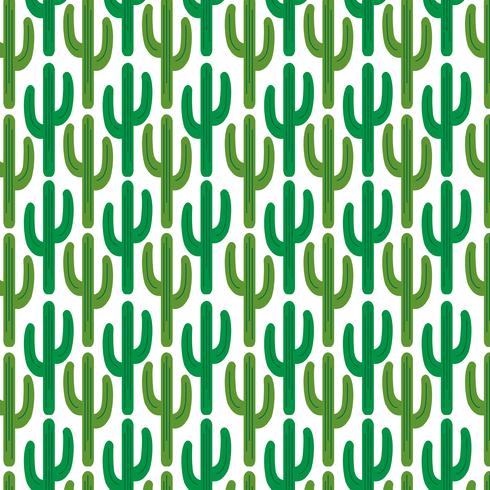 cactus pattern  on white background vector