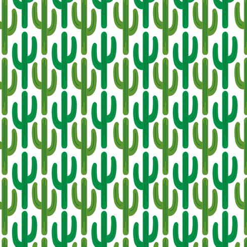 patrón de cactus sobre fondo blanco vector