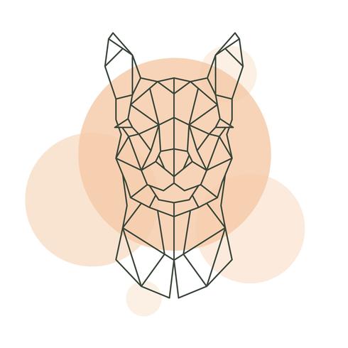 Geometric head of Alpaca. Wild animal. vector