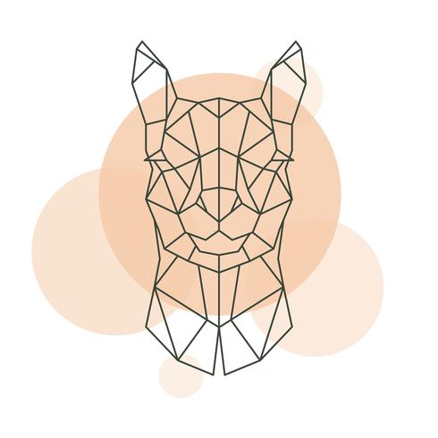 Geometric head of Alpaca. Wild animal. vector