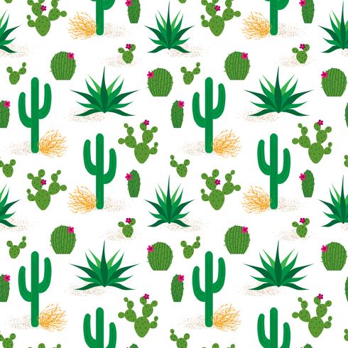 desert cactus pattern vector