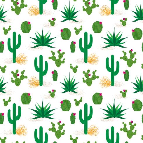 patrón de cactus del desierto vector