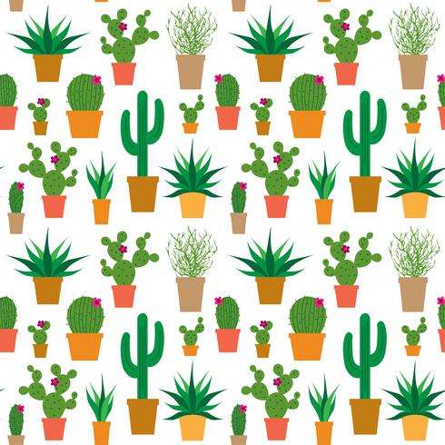 cactus in pots vector pattern