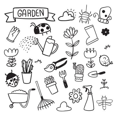 garden  vector