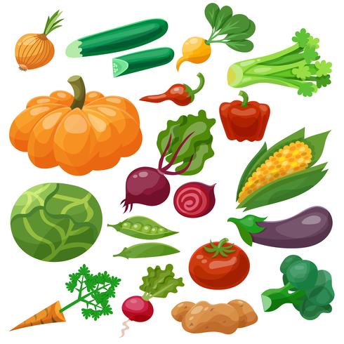 Conjunto de iconos de verduras vector