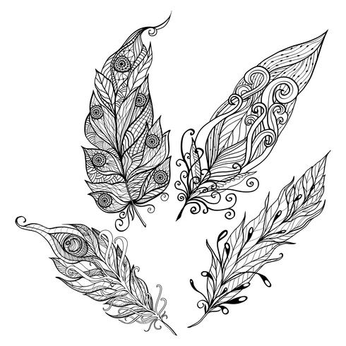 Feather Doodle Set vector