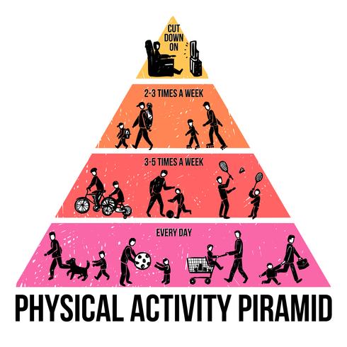 Infografía de la actividad física vector