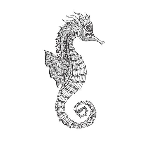 Doodle sketch seahorse black line vector