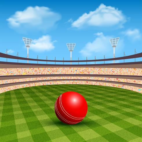 Stadium Of Cricket vector