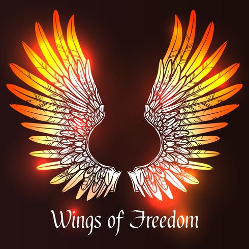 Wings Sketch Illustration vector