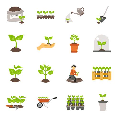 Seedling Flat Icons Set vector